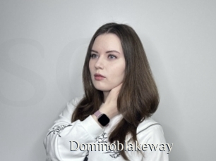 Dominoblakeway
