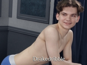 Drakedribble