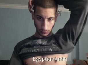 EgyptianAmin