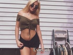 EvieCat