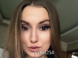 Evka1234