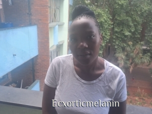 Ecxorticmelanin