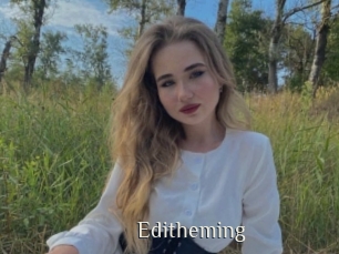 Editheming