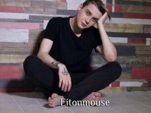 Eitonmouse