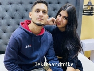 Elektraandmike