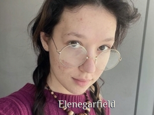 Elenegarfield