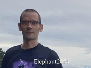 Elephant2024
