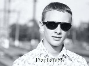 Elephant25