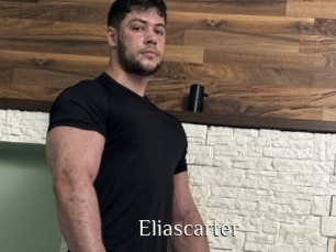 eliascarter Shop coquin