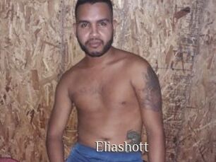 Eliashott