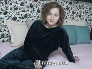 Elinmagnetic
