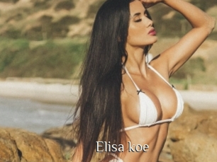 Elisa_koe