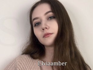 Elviaamber