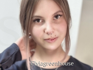 Elviagreenhouse