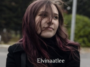 Elvinaatlee