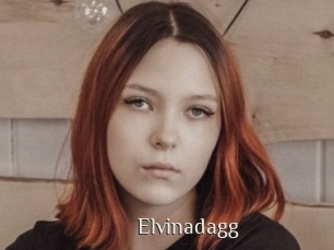 Elvinadagg