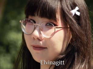 Elvinagitt