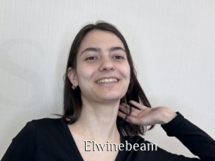 Elwinebeam
