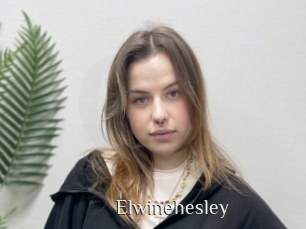 elwinehesley Shop coquin