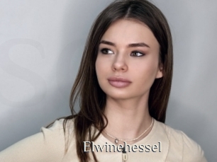 Elwinehessel