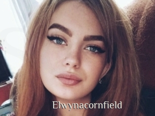 Elwynacornfield