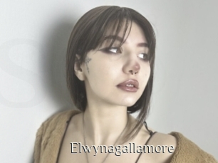 Elwynagallamore