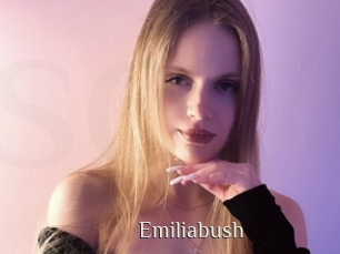Emiliabush