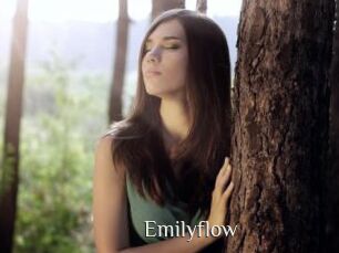 Emilyflow