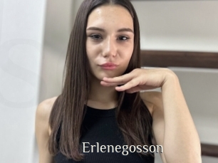 Erlenegosson