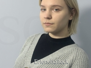 Erlenehallock
