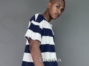 ethanfox Shop coquin