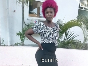 Eunifix