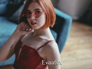 Evaafox