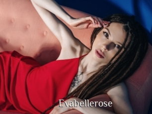 Evabellerose