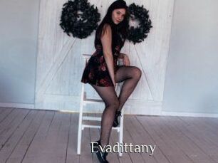 evadittany Shop coquin