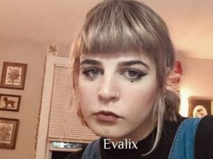 evalix Shop coquin