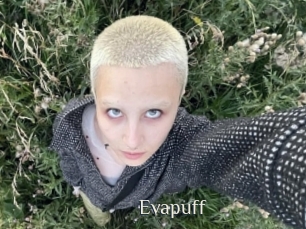 evapuff Shop coquin