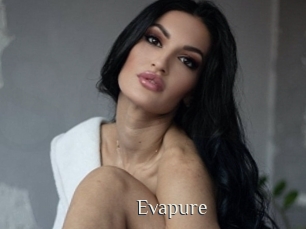 evapure Shop coquin