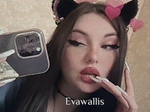 Evawallis