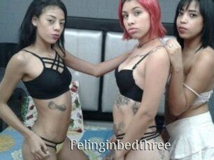 Felinginbedthree