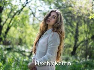 FlexibleKatrin