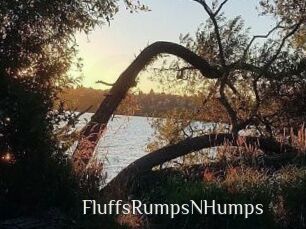 FluffsRumpsNHumps