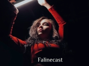 falinecast Shop coquin