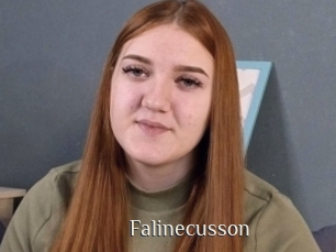 Falinecusson