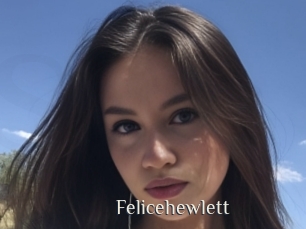 felicehewlett Shop coquin
