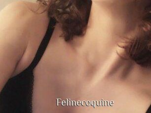 Felinecoquine