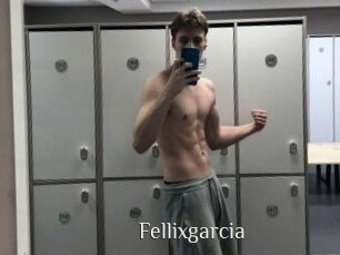 Fellixgarcia