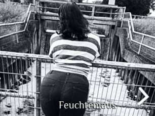 Feuchtemaus