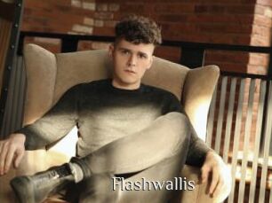 Flashwallis