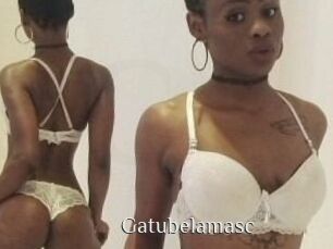 Gatubela_masc